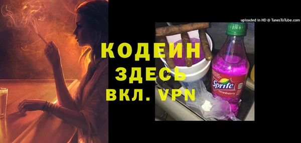 гашик Нея