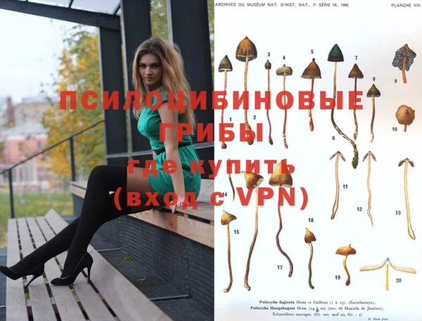 apvp Нефтекумск