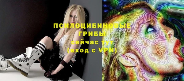 трава Наволоки